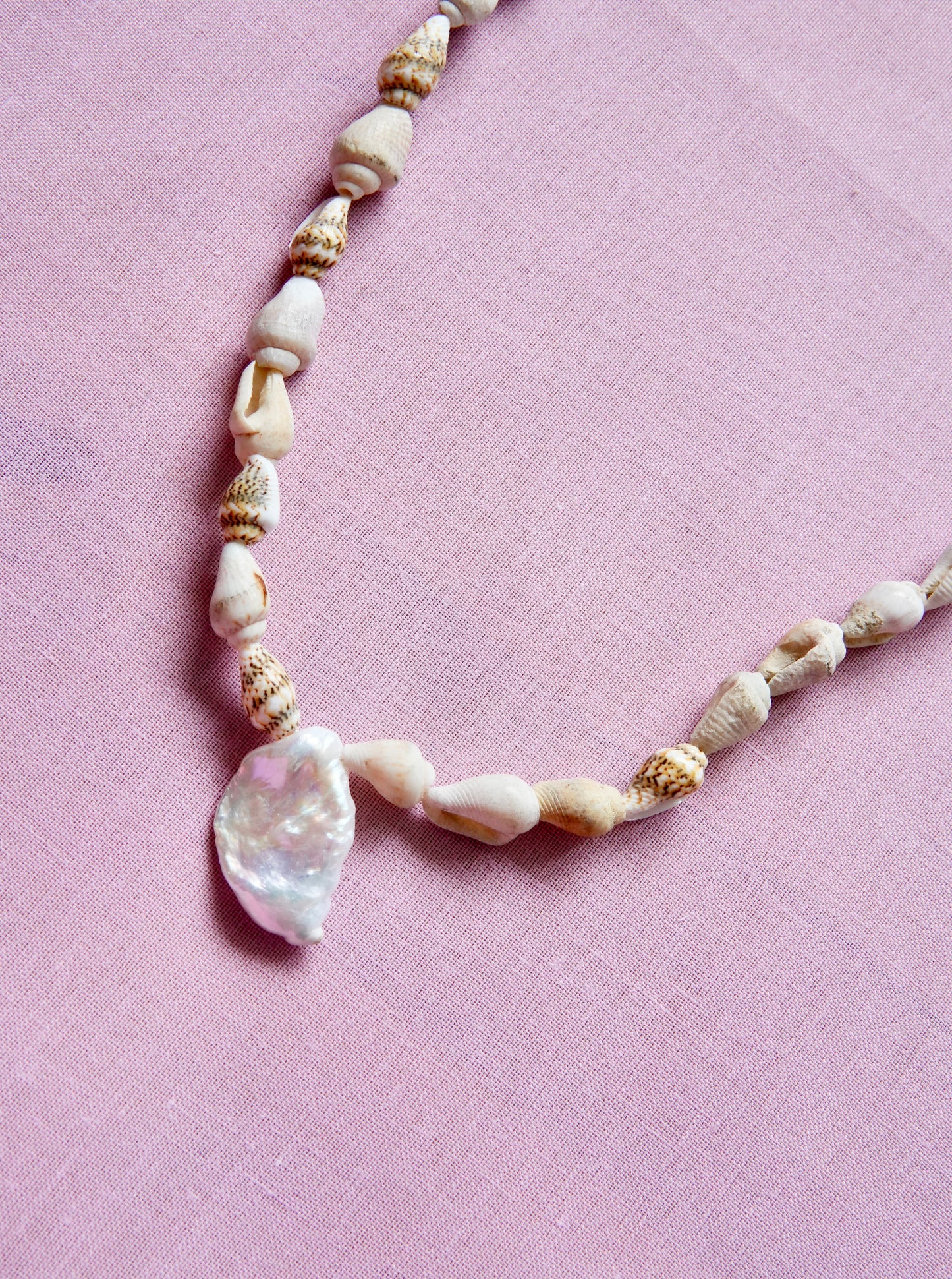 Shell & Coral Series #3