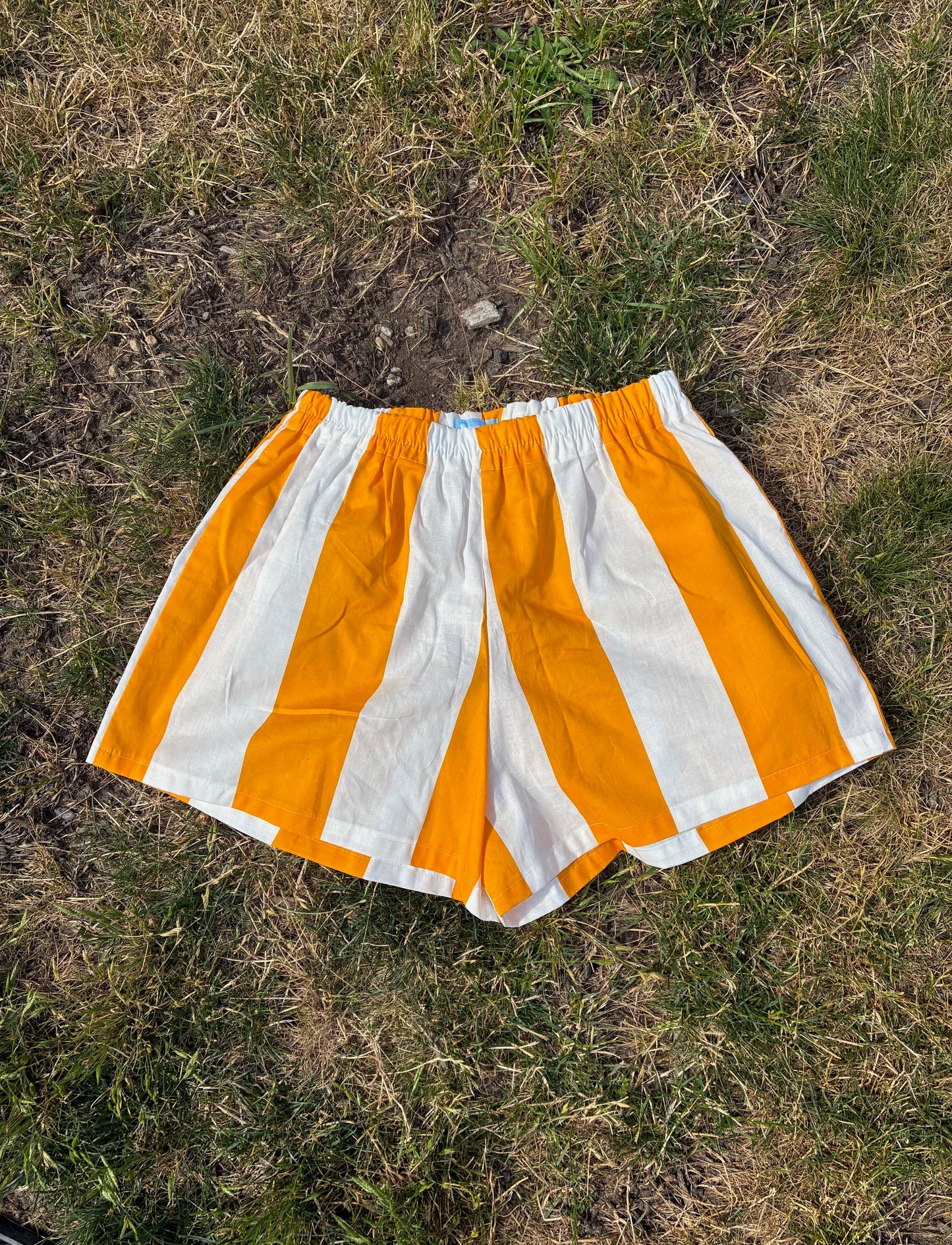 Wide Stripe Easy Shorts (L)