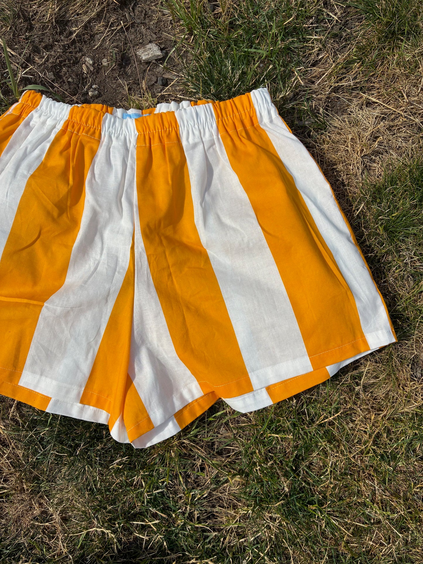 Wide Stripe Easy Shorts (L)