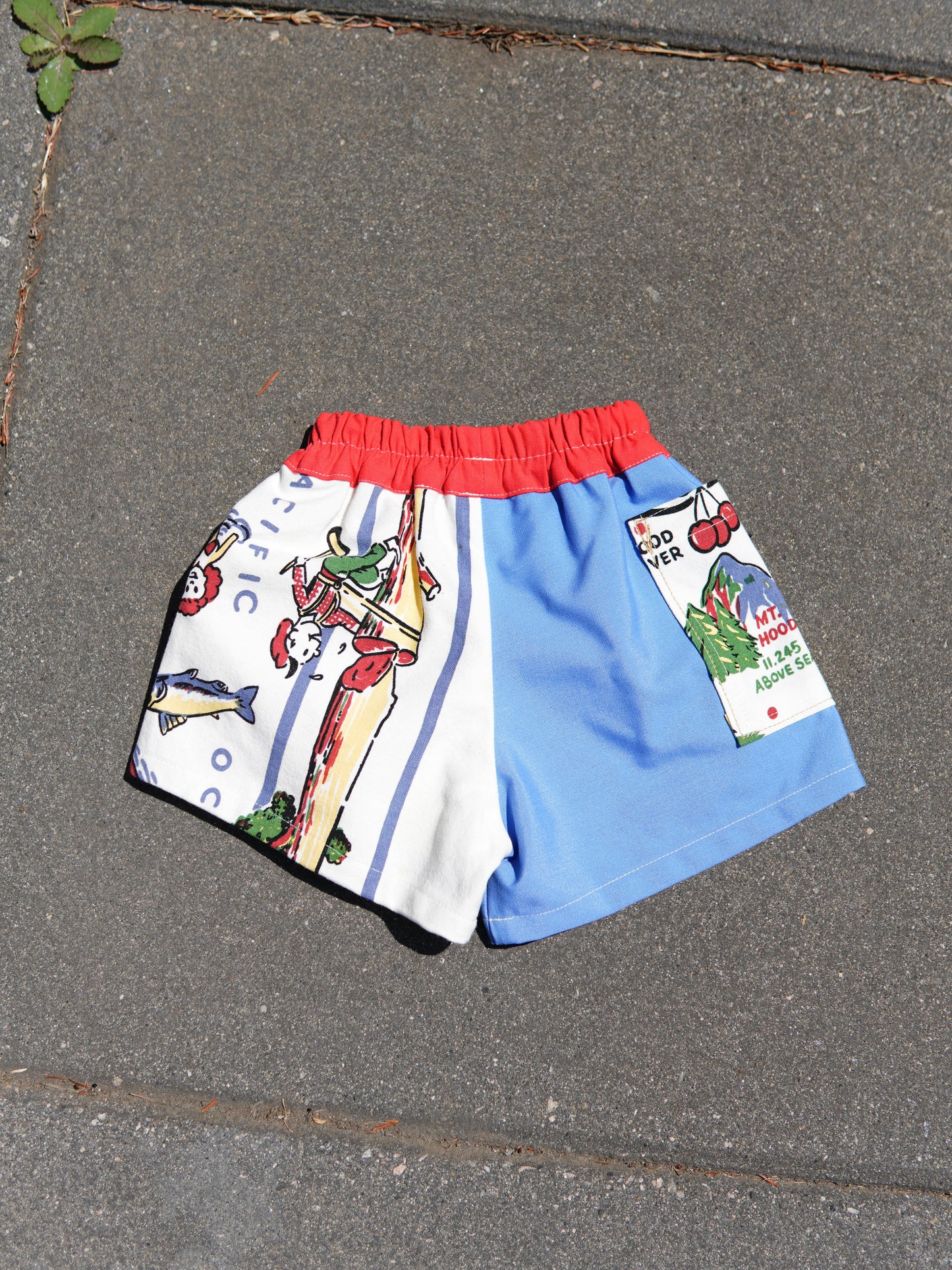 Play Shorts (1/2Y)