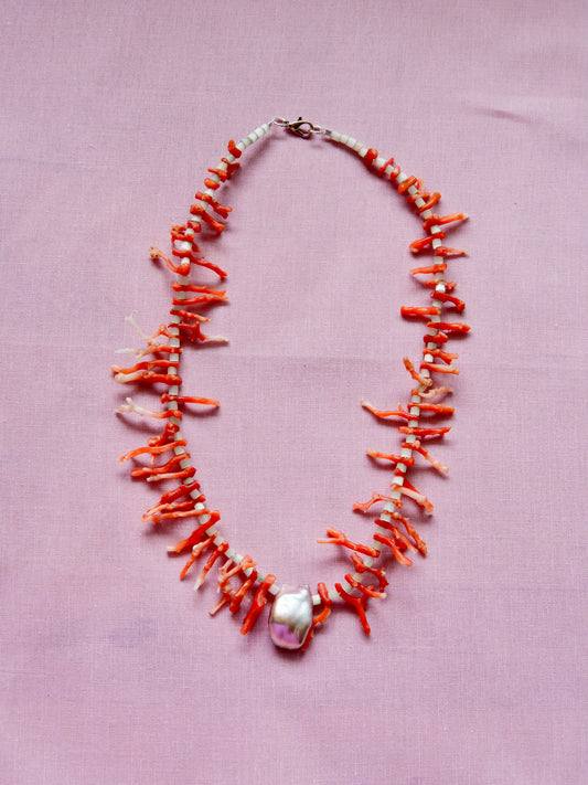 Shell & Coral Series #1