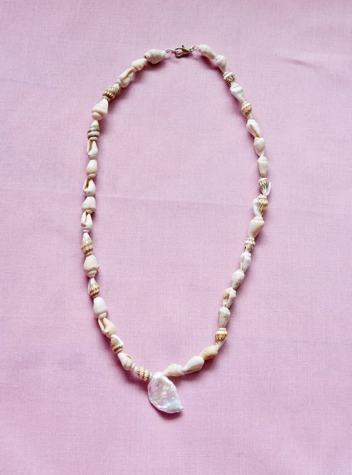 Shell & Coral Series #3