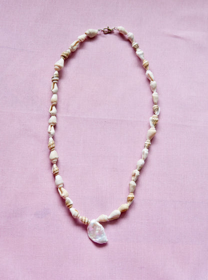 Shell & Coral Series #3