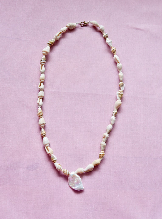 Shell & Coral Series #3