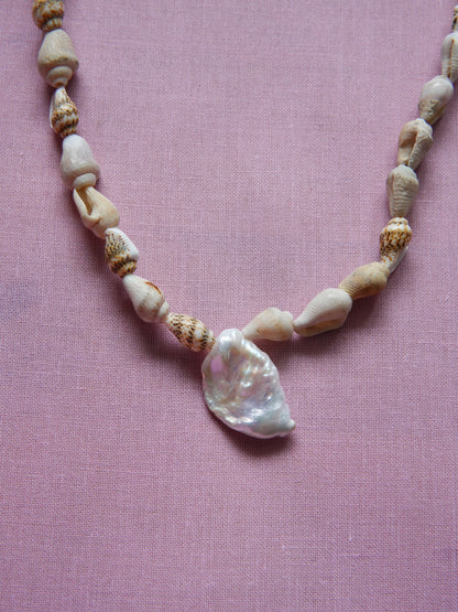 Shell & Coral Series #3