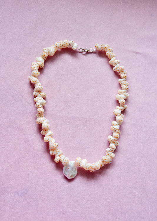 Shell & Coral Series #2