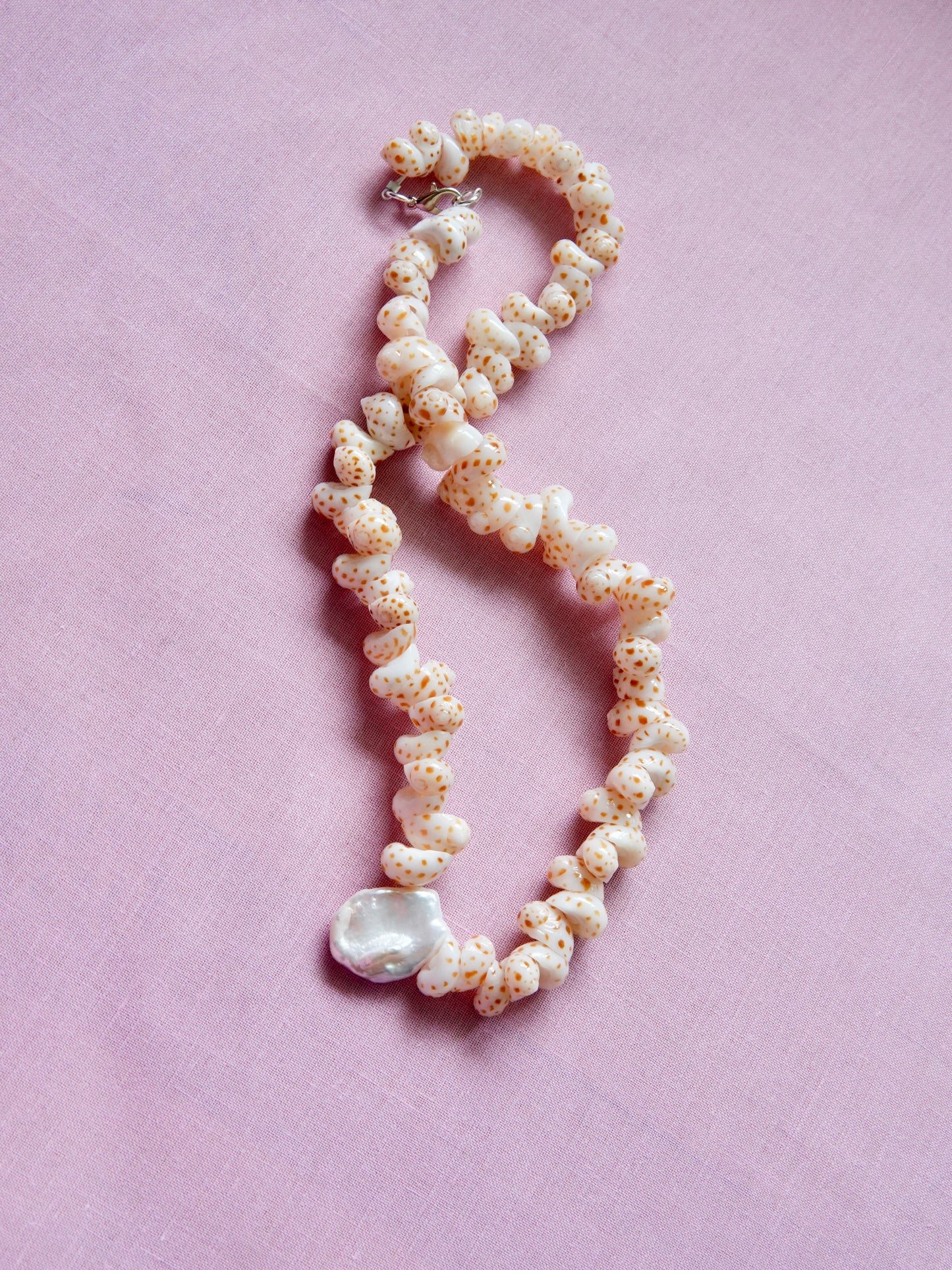 Shell & Coral Series #2