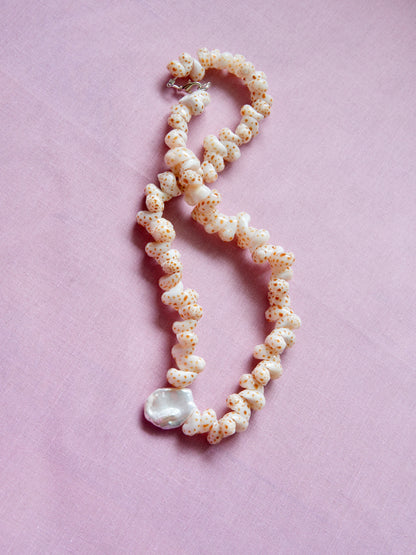 Shell & Coral Series #2