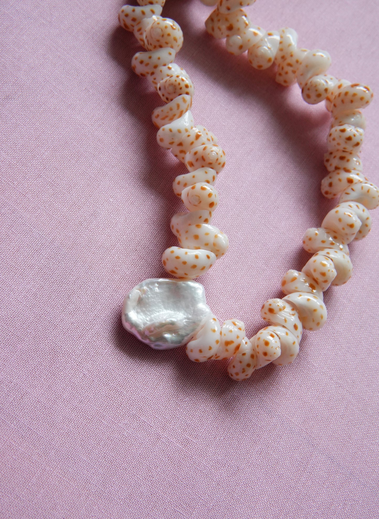 Shell & Coral Series #2