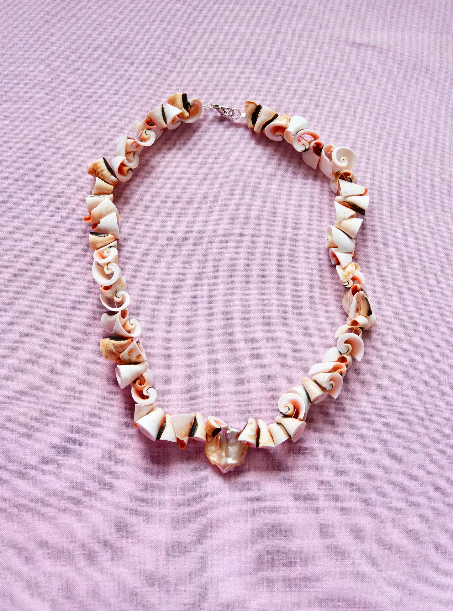 Shell & Coral Series #4