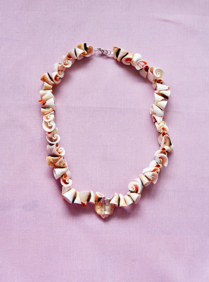 Shell & Coral Series #4