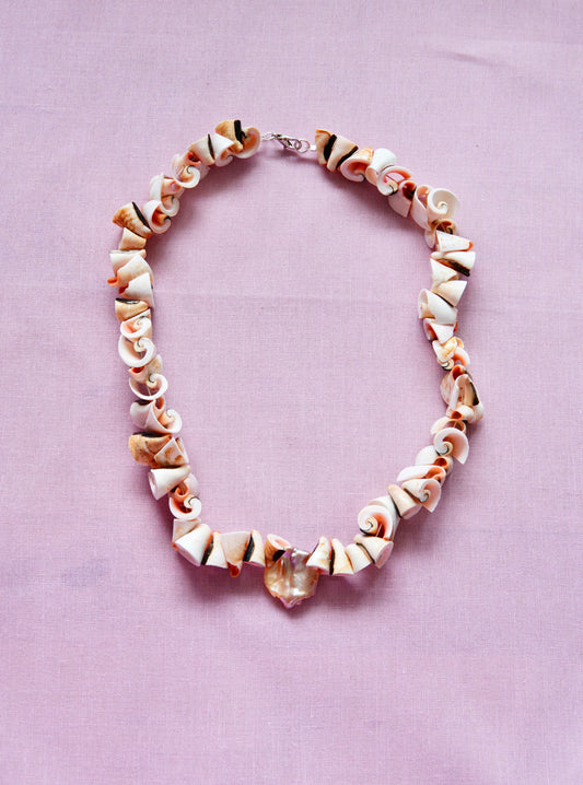 Shell & Coral Series #4