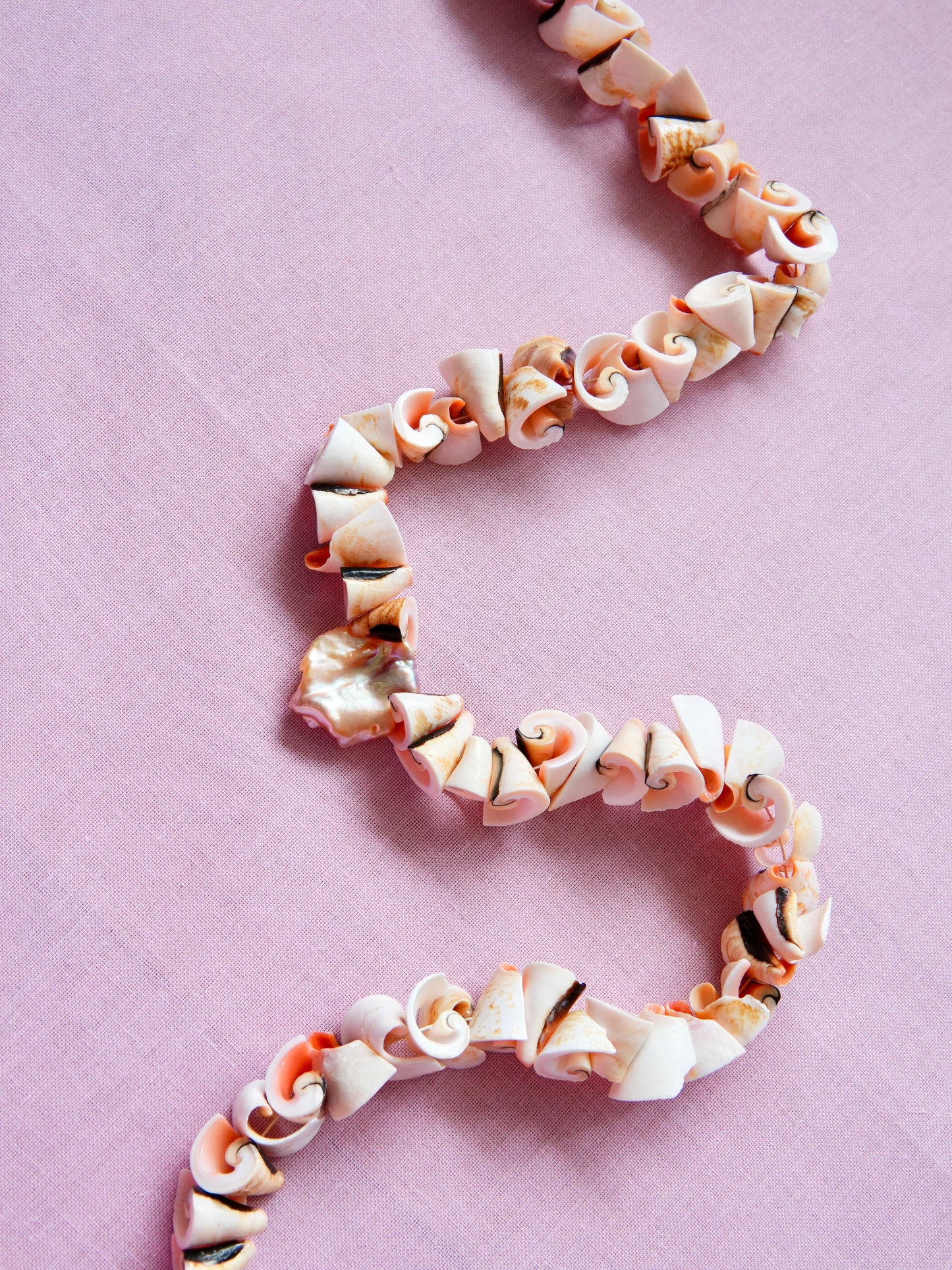 Shell & Coral Series #4