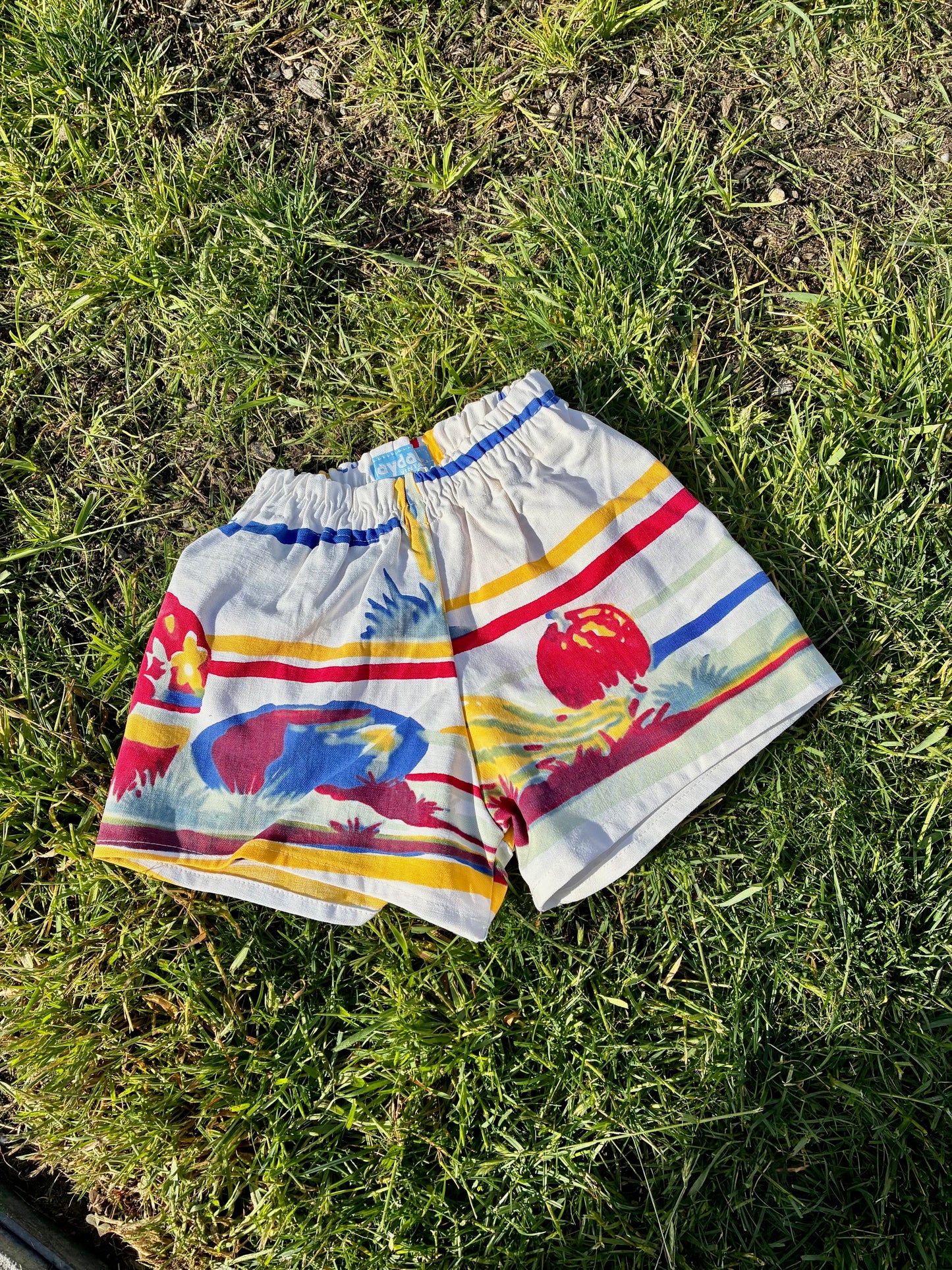 Play Shorts (2/3y)
