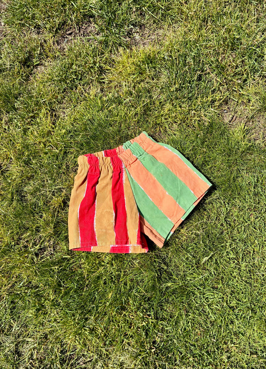 Painter Shorts (1/2y)