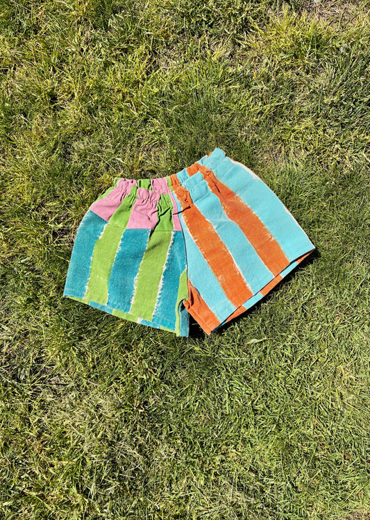 Painter Shorts (4/5y)